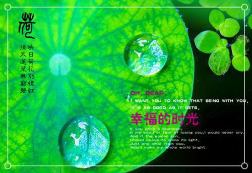 治疗女性阴冷食疗方案