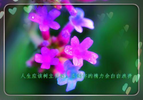羊奶果适合孕妇吃吗？