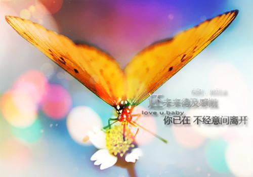 夏季高温，多吃这5种水果可防中暑