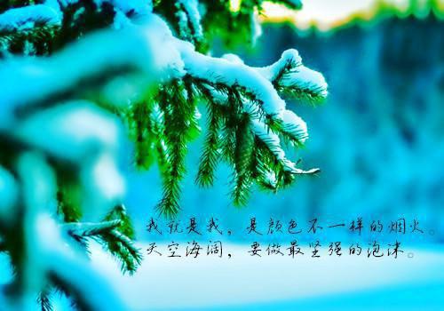 三个青春不老食疗秘方