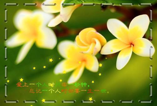 牛奶泡茉莉 胃痛去无踪