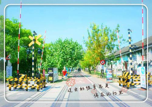 冬吃鲫鱼好处多 抗病美容还下奶