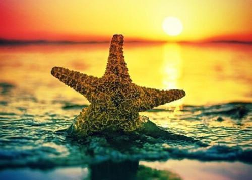 怎么吃羊肉健康又美味？