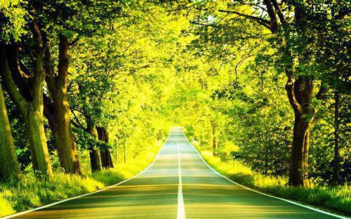 有口疮吃不好 用口疮食疗方吧