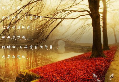 男性多吃苹果可保护性功能