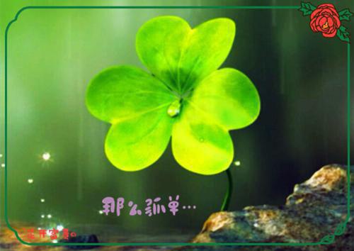 人到中年易肾虚 男人专享补肾食谱