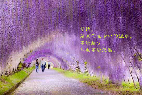 适量蔬果汁 排毒又美容
