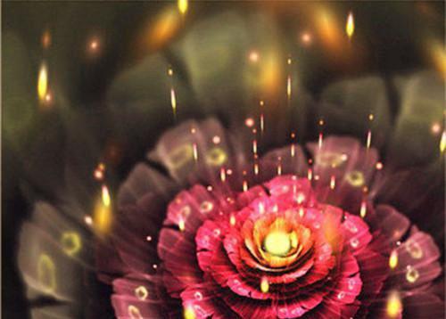 春天一起来食疗，3款食谱轮着吃