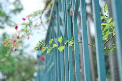 白露饮食风俗有讲究