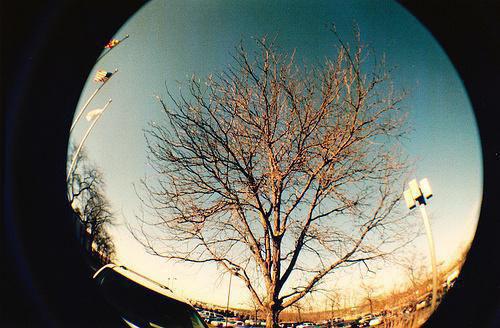 秋季养阴润肺食谱