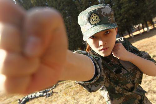 淮山田七炖鸡可治遗精盗汗