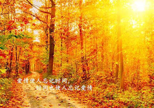 孕妇喝蜂蜜 这三种蜂蜜不能喝