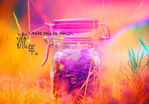 女人气虚食疗法