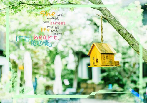 缺铁性贫血吃这十大食谱就够了！