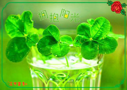 预防口腔溃疡病发的有效招数