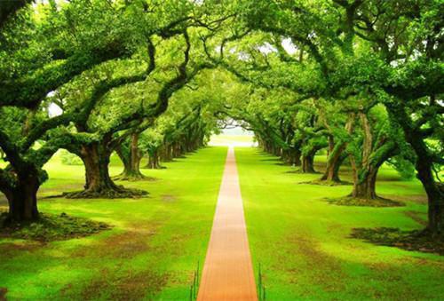 酱油为何最好别生吃