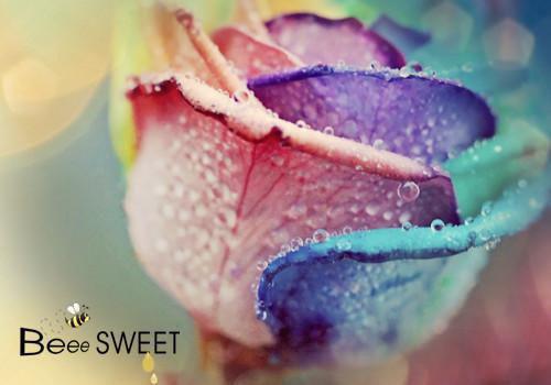 如何调理寒性体质