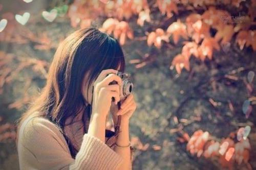 韭菜的药用价值