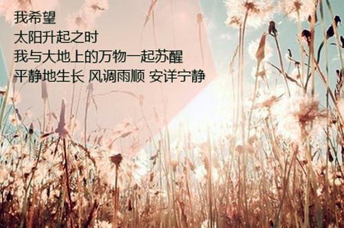 青少年摄取铁的途径瘦牛肉