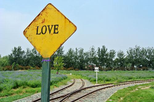 7道秋季养胃食谱温胃散寒