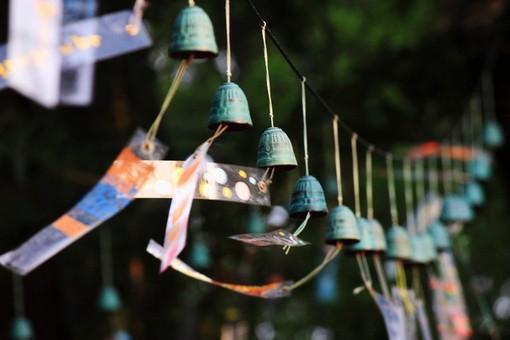 巧吃八大食物最滋补养颜