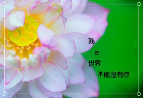 宝宝吃芝麻酱好处多 但食用要注意这些