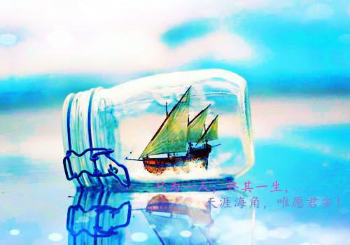 分享脱发食疗小秘籍 让你远离脱发烦恼
