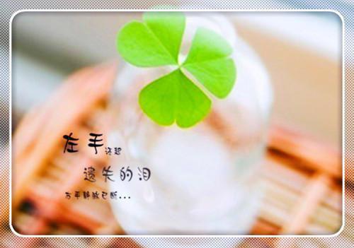 喝茶能够祛斑？要怎样喝呢？
