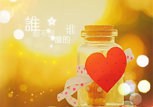 梧桐的药用价值