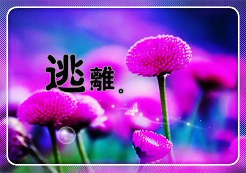 孕期补叶酸 孩子血压好