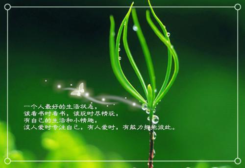 秋季进补最宜吃四类食物