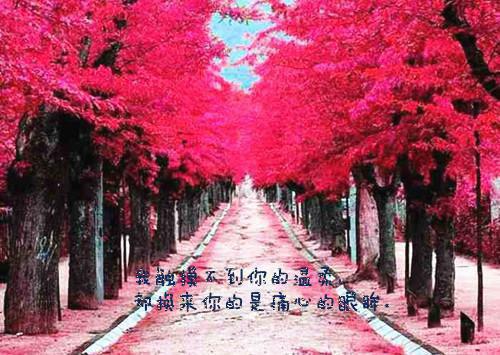 宝宝营养餐：鸡蛋的做法大全！