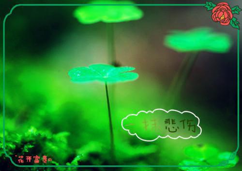 缓解怀孕初期疲劳食疗