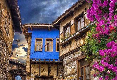 夏季多吃十种清血食物