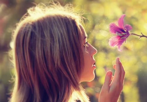 清热健胃三仙茶