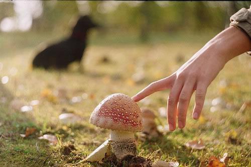 夏天祛湿喝冬瓜汤，冬瓜汤的做法