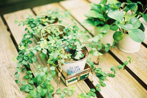 吃辣椒去湿的说法没道理