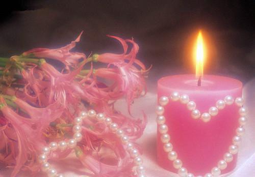 贫血必吃哪种肉