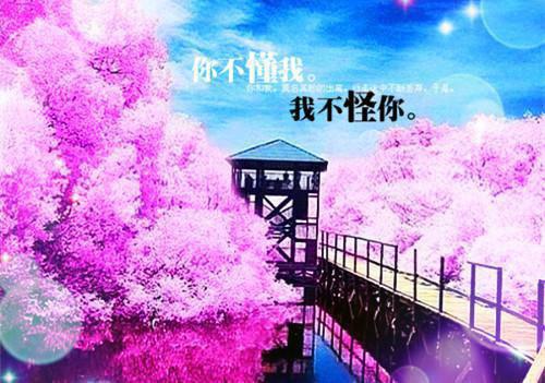 饺子皮的花样吃法