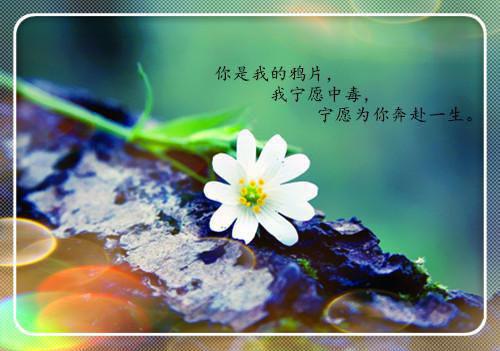 适合熬夜族的食疗方法