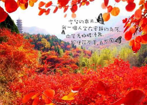 冬季一定要煲给孩子喝的5款汤