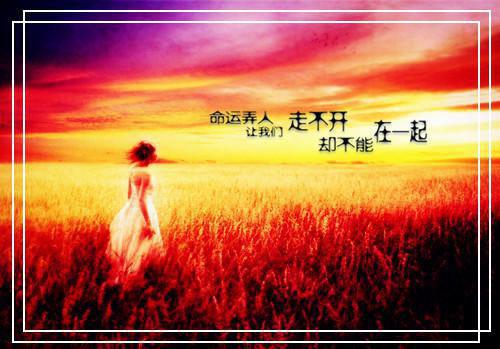 怎样给孩子烹调胡萝卜