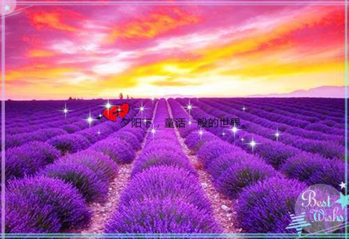 香油让老人血管更软和