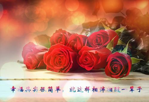 秋季尝三鲜 茄子山药鲜芋苗