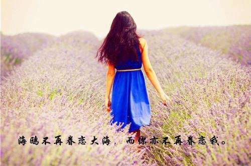 促进伤口愈合可以补充蛋白粉？