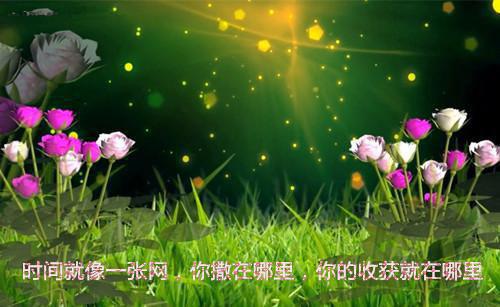产后节食的4个误区，危害巨大