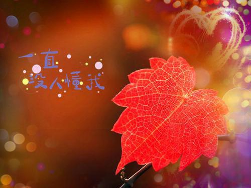 方便面如何吃出健康来