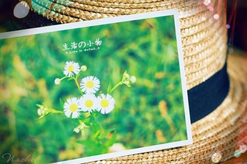 这些食物帮你短时间内口气清新