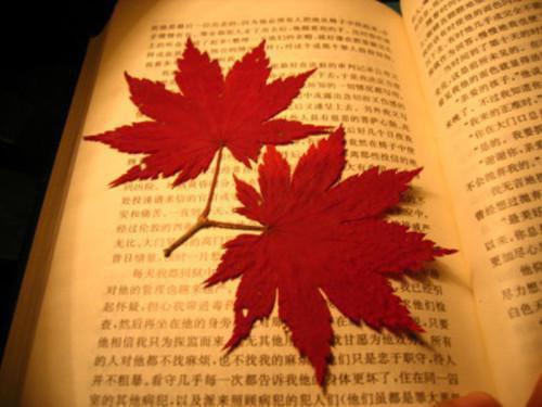 宝宝需要高铁奶粉吗
