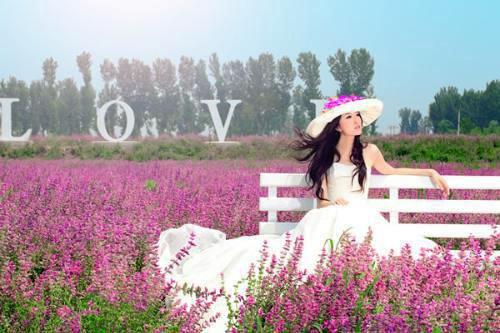 菜根的作用不可忽视，韭菜专治盗汗